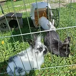 Hintererhof
