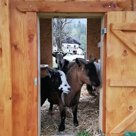 Appartement Hintererhof Hintersee