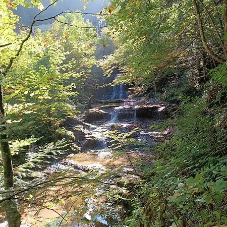 Hintererhof アパート *