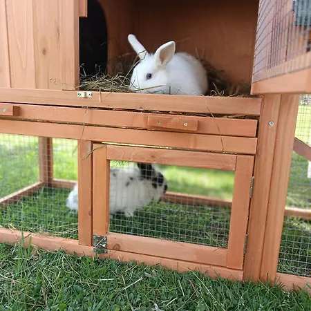 Hintererhof アパート *