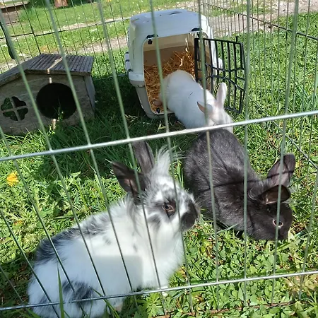 Hintererhof