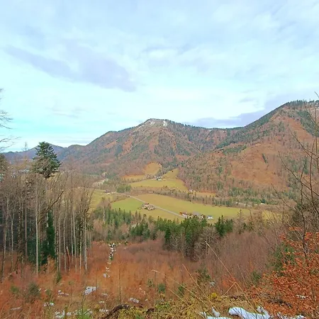 Hintererhof Apartment *