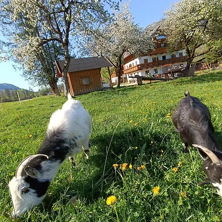 Hintererhof Hintersee