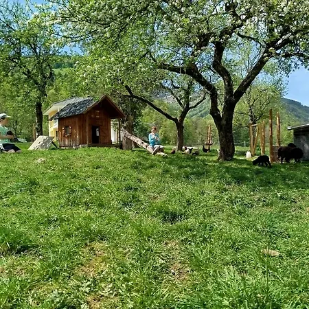 Hintererhof Hintersee