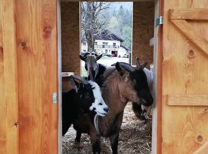 アパート Hintererhof ヒンターゼー