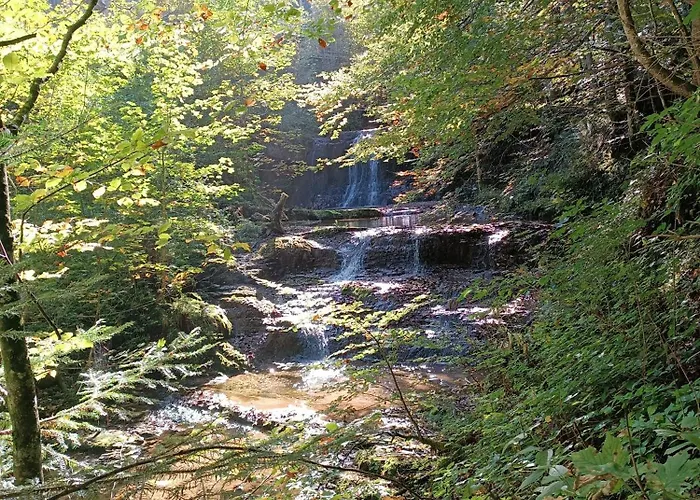 Hintererhof アパート *