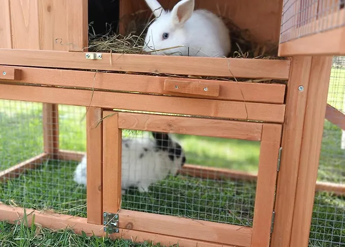 Hintererhof アパート *