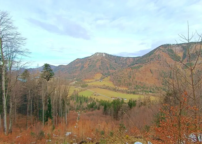 Hintererhof Apartment *