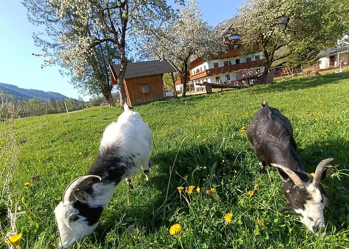 Hintererhof ヒンターゼー